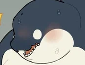 Nanaue, Orca