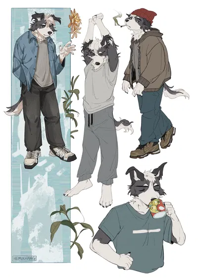 Collie Doomer - Bennett