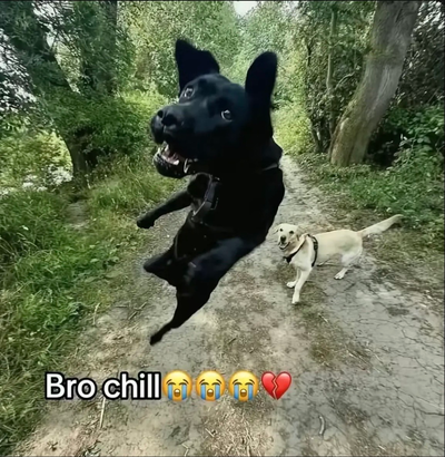 Public chats are back yippe