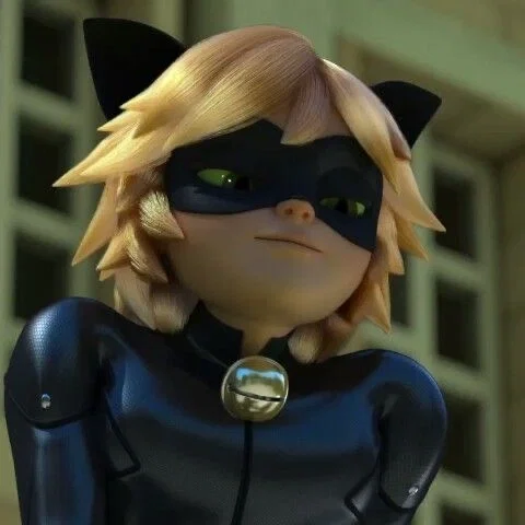 cat noir – ୧ ̊⋆ 