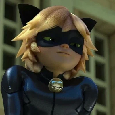 cat noir – ୧ ̊⋆ 