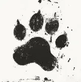[🐾] Anthro-Domination [🐾]