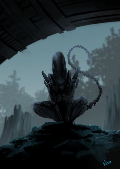 Hunted by a Curious Drone