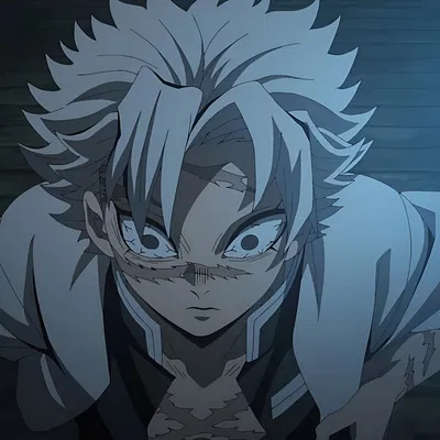 Sanemi Shinazugawa