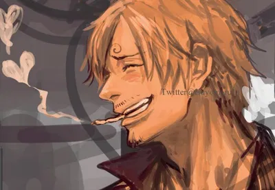 Sanji Vinsmoke ☆|BABY FEVER|☆