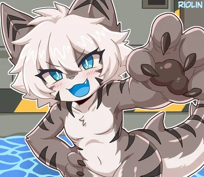 [Q] Tiger Shark | LA