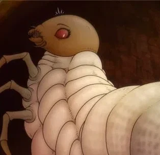 grub larva