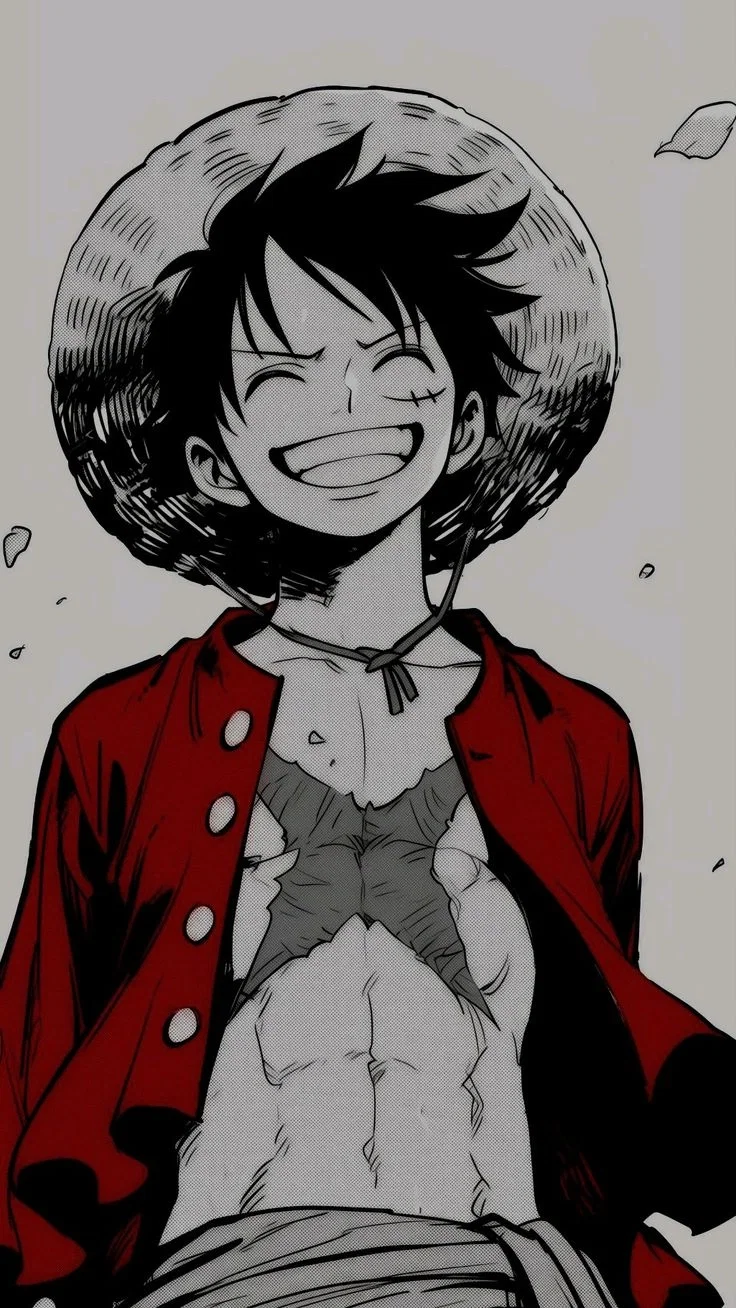 Monkey D. Luffy / One Piece 