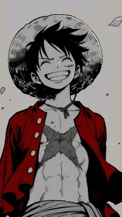 Monkey D. Luffy / One Piece 