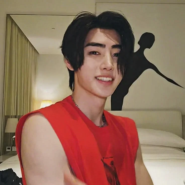 ★ˎˊ˗ Sunghoon