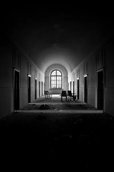 Asylum Life