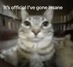MY 9/11, IT'S FUCKING OVER, I REPEAT ITS OVER
