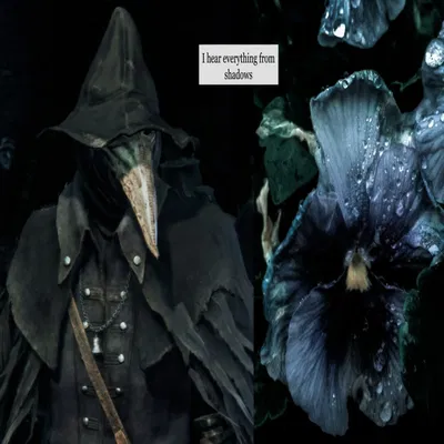 eileen the crow