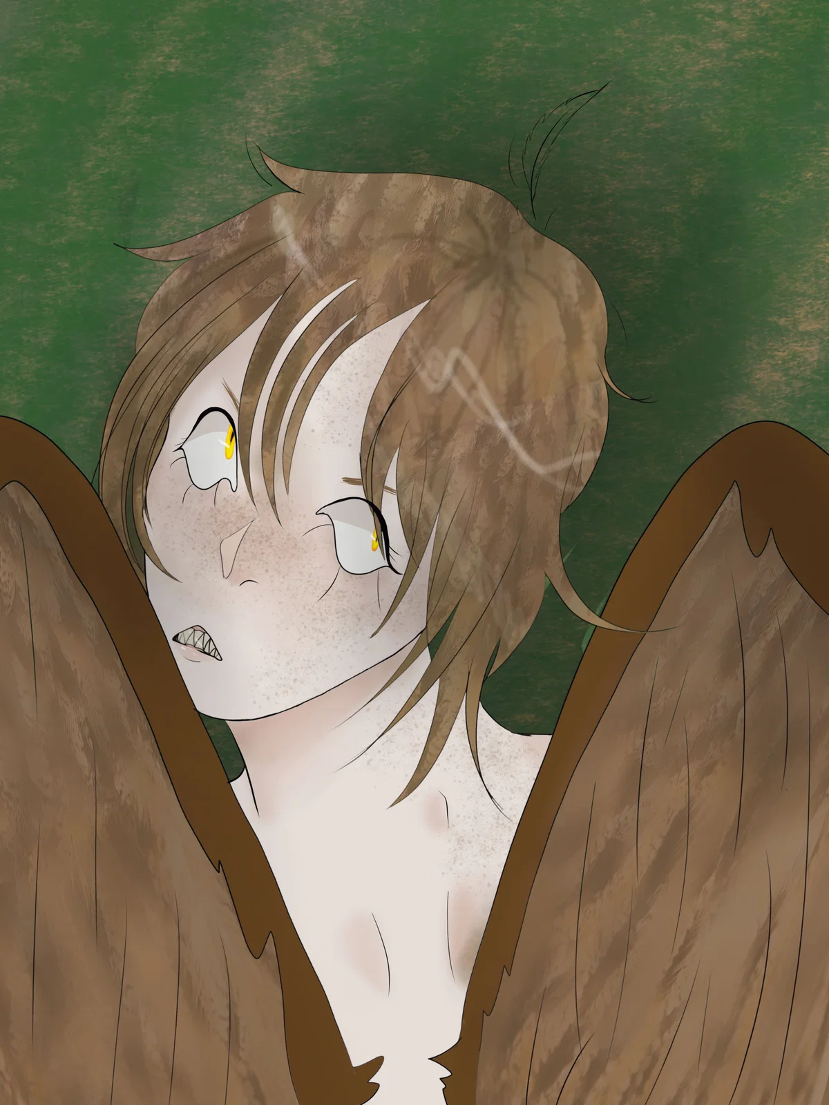 Twig the Owl Hybrid