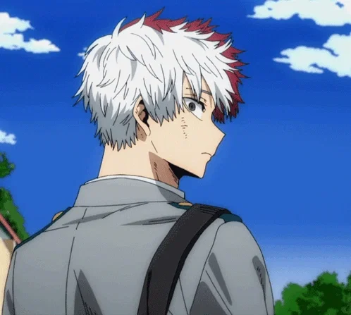 Shoto Todoroki
