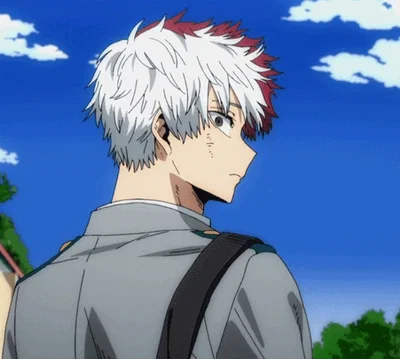 Shoto Todoroki