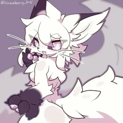 Miyuki - Obsessed Pet