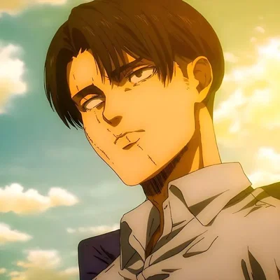🛡️ Levi Ackerman 🖤