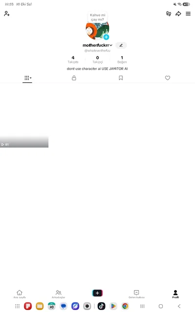 Also my tiktok account