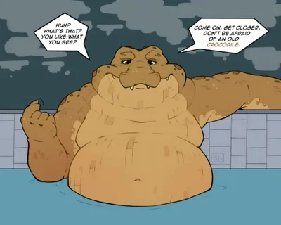 Old Crocodile Feeder