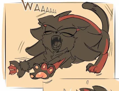Shadow the hedgehog | pet