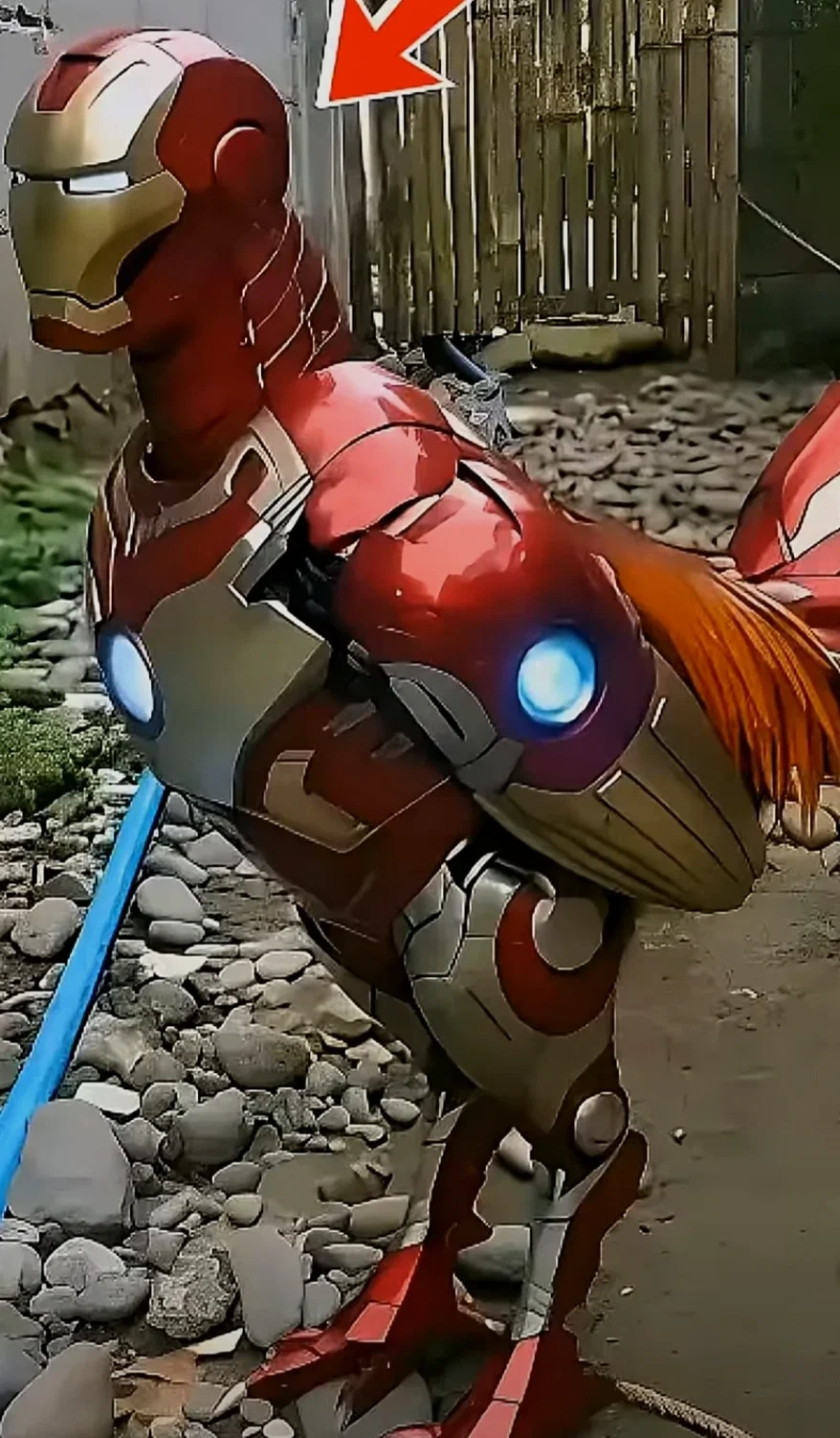 Iron Chicken