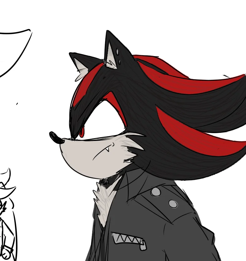 Shadow The Hedgehog