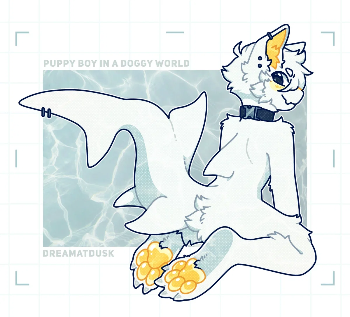 Sebby The Shuppy