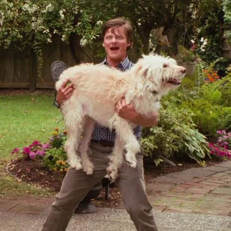 UP TO YOU| Frank Heffley