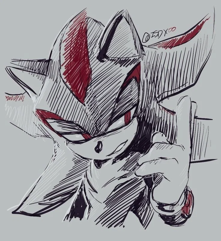 Shadow The Hedgehog // STH