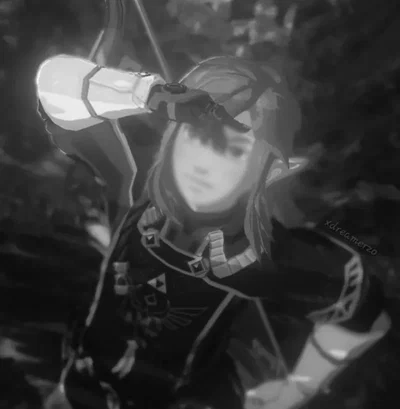 LINK BOTW