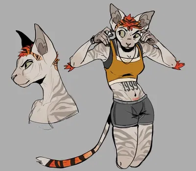 🐈 || Quinn - Rugged Punk