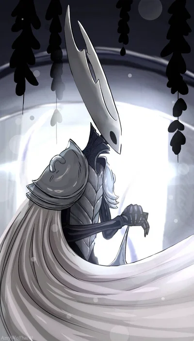 Hollow Knight 