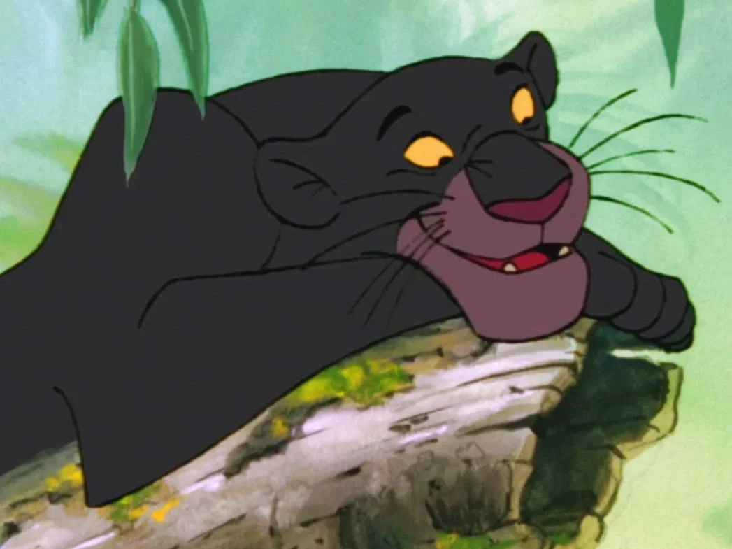 Bagheera