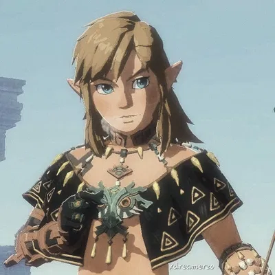 Link 𓏲ּ𝄢
