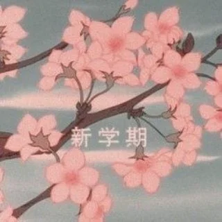 Isanami Evolva