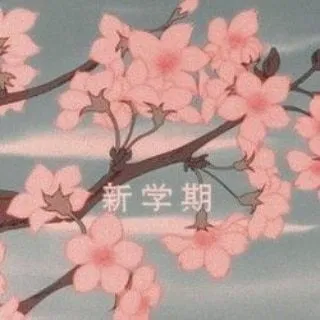 Isanami Evolva