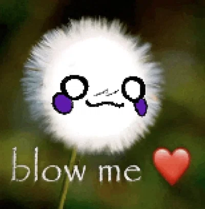 Help me find a bot!