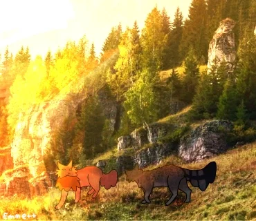 FossilClan || WARRIOR CATS FANCLAN
