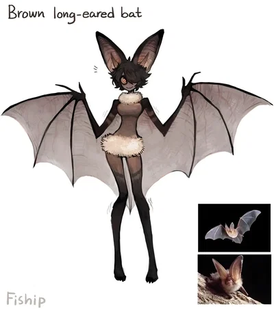 The Vampire Shows You The Truth.