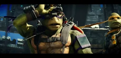 Donatello Hamato | Bay