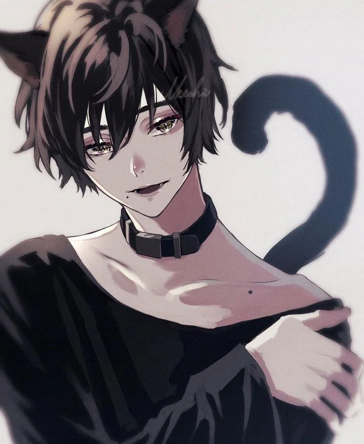 your pet cat