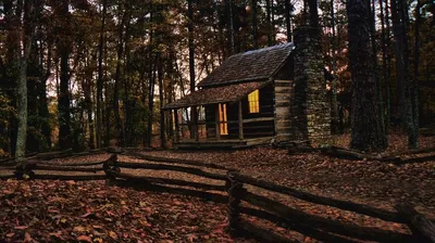 Your own B rate 80s movie : Cabin in the woods