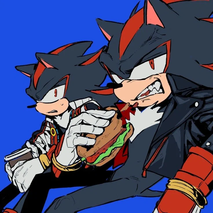 Shadow AU'S
