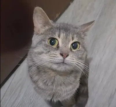Hello friends