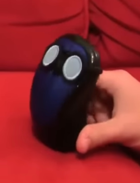 Mouse cody