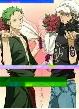 Zoro and Law - Anomaly - One Piece