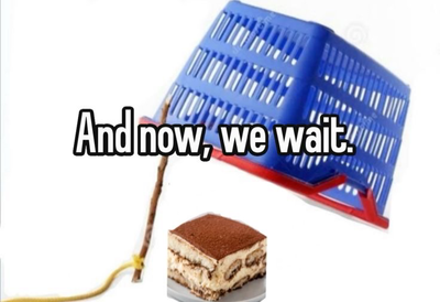 SHOULD I MAKE A WEAKHERO BOT OR A ENHA BOT 