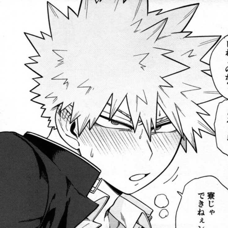 (🦭) Katsuki Bakugo