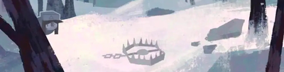 A Bear Trap?